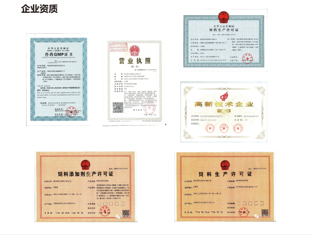 郑州普罗动物药业网站图片.png
